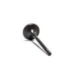 Psychic Intake Valve XU-09519I. Fixed Price $19.90.