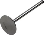 Del West Titanium Exhaust Valve (DWCRF4501OSEV09). Fixed Price $50.72.