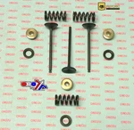 Valve Kit Intake WRF250 01-09, Psychic XU-09522IK. Fixed Price $188.35.