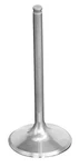 Pro-x Titanium Exhaust Valve (28.3408-1). Fixed Price $81.99.