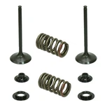 Psychic Exhaust Valve Kit For Honda CRF450R Fits 2002 2003 2004 2005 2006 Models. Fixed Price $67.95.
