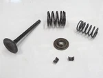 1979-1983 Honda Ascot Ft Xl Xr 500 Exhaust Engine Valve Spring Oem 14721-429-000. Fixed Price $39.99.