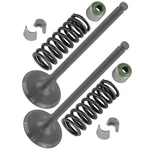 2X Intake Valve Kit For Yamaha 5NL-12112-30-00 5NL-12113-10-00 1HX-12118-00-00. Fixed Price $30.99.