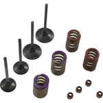 Wiseco Valve Kit SVKB4336. Fixed Price $325.92.
