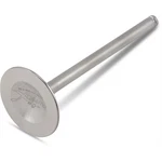 Xceldyne Valvetrain Exhaust XEVM33006. Fixed Price $87.39.