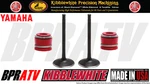 20-23 Yamaha Stock Kibblewhite Oem Intake Valves Seals Kit Kpmi. Fixed Price $58.86.
