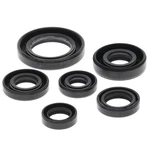 Vertex Gaskets 93-08 Honda TRX300 Oil Seal Kit. Fixed Price $29.13.