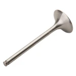 Pro 28.6427-1 Titanium Exhaust Valve. Fixed Price $93.98.