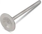 Xceldyne XEVM33006 Exhaust Valve For Suzuki Rm-z 450. Fixed Price $145.28.