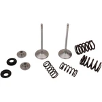 Moose Offroad 0926-3198 M40-41450 Stainless Intake Valve And Spring Kit. Fixed Price $217.95.