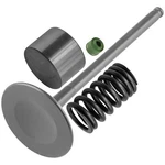 Caltric 12911-49H00 12921-02H01 09289-04002 Intake Valve Kit For Suzuki. Fixed Price $20.99.