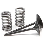 Pro X Steel Intake Valve And Spring Kit 28.SIS1409-2. Fixed Price $129.99.