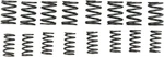Kawasaki Kz 900 1000 Valve Spring Kit 1973-2002 Kibblewhite 40-0449. Fixed Price $63.95.