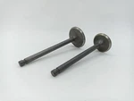 1976-1981 Kawasaki KZ200 Oem Inlet Valve Set Qty 12004-018. Fixed Price $35.71.