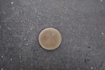 Kawasaki 1976 1977 1978 1979 1980 KZ750 2.55 Adjusting Pad 32MM Valve Shim. Fixed Price $15.00.