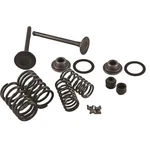 Outside Valve Set Horizontal 70-90/110CC 61-0201. Fixed Price $17.48.