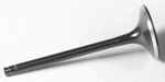 Kibblewhite Diamond Exhaust Valve 30-31616. Fixed Price $30.02.