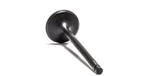 Psychic Intake Valve MX-09527I. Fixed Price $27.99.