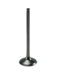 Xceldyne Titanium Single Intake Valve X2TIVM13000 79-1840 0926-2561. Fixed Price $105.40.