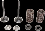 Moose Stainless Valve & Spring Kit For 2009-2016 Kawasaki Kx 450. Fixed Price $196.95.