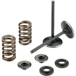Moose Racing M30-31500 Replacement Intake Valve Kit. Fixed Price $217.96.