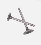 Shindy Intake/exhaust Valve Set For Kawasaki 220/BAYOU 250 Atv 07-109. Fixed Price $43.65.