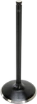Kibblewhite Black Diamond Intake Valve 82-82462. Fixed Price $33.79.