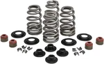 Kibblewhite Precision Performance Rebuild Ovate Wire Beehive Valve Spring Kits -. Fixed Price $157.53.
