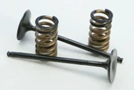 Pro-x Steel Intake Valve/spring Kit Ktm 250 Sx-f 2008-2012 28.SIS6329-2. Fixed Price $139.99.