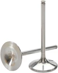 Del Exhaust Valve Titanium Aluminide DW-CRF250R-EV08. Fixed Price $153.99.