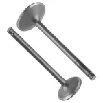 Intake & Exhaust Valve For Kawasaki Bayou 250 2003 2004 2005 2006 2007 2008-2011. Fixed Price $41.63.