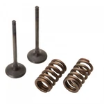 Pro Steel Exhaust Valve/spring Kit 28.SES4335-1 Kawasaki KX250F Suzuki RMZ250. Fixed Price $145.42.
