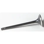 Kpmi Black Diamond Exhaust Valve 60-60213. Fixed Price $47.83.
