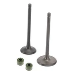 Head Intake Exhaust Valves Seals For Cg 250CC Pit Bike Dirt Atv Quad A1. Fixed Price $14.63.