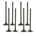 For Kawasaki EX250 Ninja ZZR250 GPX250R EL250 4 Pairs Intake Exhaust Valves Kit. Fixed Price $38.39.