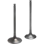 Kibblewhite Precision 96-96166T Tensilite Titanium Replacement Exhaust Valve. Fixed Price $119.06.