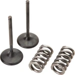 Pro X 28.SIS2440-2 Steel Intake Valve/spring Kit. Fixed Price $131.85.