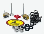 Suzuki Rmz 250 Kibblewhite Intake & Exhaust Valves Titanium Spring Kit. Fixed Price $329.88.
