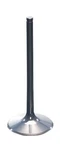 Pro X 28.3340-2 Intake Valve Titanium. Fixed Price $76.99.