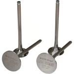 Del West DW-YZ250F-IV14 Intake Valve Titanium 0926-2720. Fixed Price $136.76.