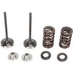 Moose Offroad Valve And Spring Kit 0926-2455. Fixed Price $196.95.