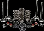 Kibblewhite 20-22750 Valve Kt COMP86-03EVO/883. Fixed Price $245.21.