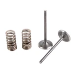 Wiseco SVK2424-I Steel Intake Valve Kit. Fixed Price $220.99.