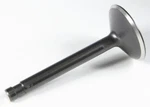 Kibblewhite Black Diamond Exhaust Valve 20-4195. Fixed Price $30.08.