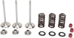 Moose Intake Valve/spring Kit Steel Yamaha WR450F/YZ450F. Fixed Price $307.95.