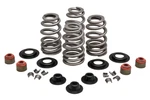 Beehive Valve Spring Kit .610 Lift For 05-17 Harley Twin Cam 96 103 110 60306. Fixed Price $142.90.