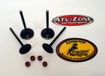 Kibblewhite Black Diamond Intake And Exhaust Valves Honda Trx 400EX 1999-2014. Fixed Price $135.18.