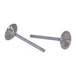 Manley Race Master Intake Valve Set. Std 84-99 Evo Big Twin; 99-04.... Fixed Price $156.64.