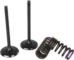 Wiseco Garage Buddy Intake Valve Kit 117976 WISSVK2444-I. Fixed Price $172.99.