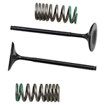 Pro X 28.SIS1340-2 Steel Valve And Spring Kit Intake. Fixed Price $143.47.